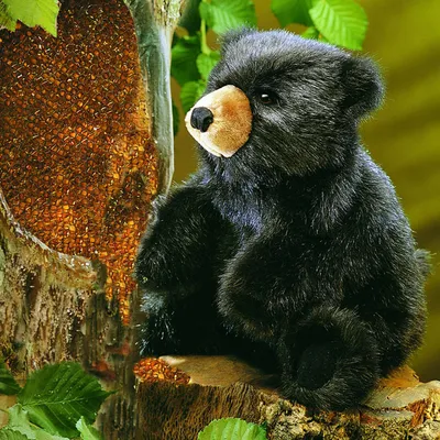Produktbild von Folkmanis Handpuppe kleiner schwarzer Bär 2232