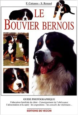Image de Le Bouvier bernois