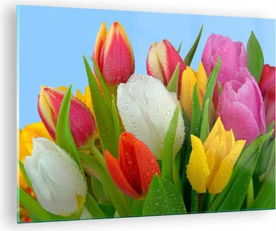 Produktbild von Bilder auf glas - Tulpen Blumenstrauß Blumen Tau - 70x50cm - Glasbilder - Wandbilder - Kunstdruck - zum Aufhängen bereit - Wanddekoration aus Glas - Glas Bilder - Wandbild auf Glas - GAA70x50-2526