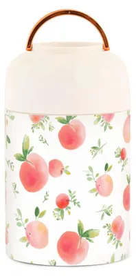 Obrázek produktu pro Izolovaná nádoba na jídlo s lžičkou, objem 500 ml
