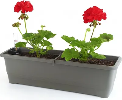 Produktbild von Blumenkasten Balkon 50 cm Balkonkasten mit Halterung Blumenkasten mit Wasserspeicher Fensterbank Außen Balkongeländer Blumenkastenhalterung