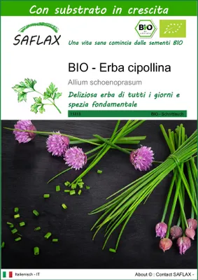 Immagine prodotto di SAFLAX  -- Erba cipollina - 250 semi - Con substrato - Allium