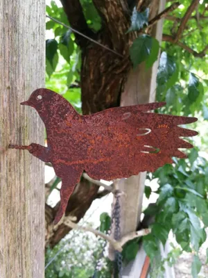 Immagine prodotto di Uccello in acciaio inox Xaver ali aperte per l'avvitamento