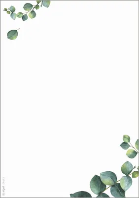 Produktbild von sigel Design-Papier "Eucalyptus" DIN A5 90 g/qm
