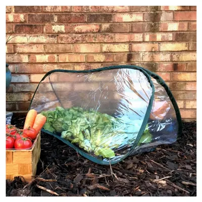 Produktbild von Mini Gewächshaus Pflanztunnel für Hochbeet und Garten 150x60cm | Pop-Up Folientunnel Pflanzenschutzzelt für Tomaten, Obst, Salat, Gemüse - 2 Stück