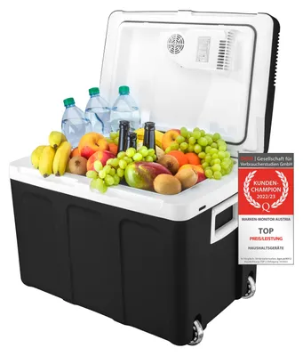 Produktbild von TZS First Austria - Kühlbox 45L elektrisch 12V 230V Anschluss für Auto & Steckdose - Thermoelektrisch - Schwarz