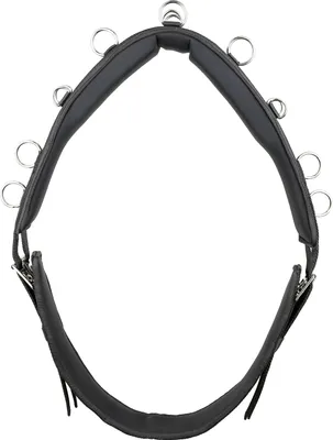 Produktbild von Kieffer Longiergurt ESSENTIALS CIRCLE, Farbe:schwarz, Größe:Pony