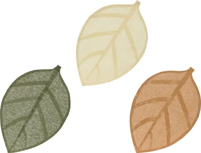 Image de Set De Set De Table Individuel Modèle Feuille 30x46,5x0,1cm Couleurs Variées 806642