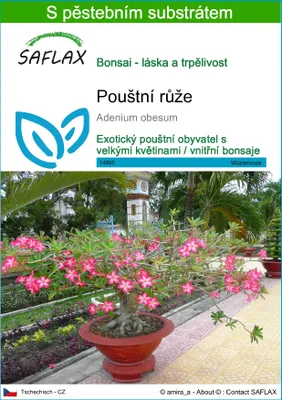 Obrázek produktu pro SAFLAX - pouštní růže - Adenium obesum - 8 Semena - S pěstebním substrátem bez klíčků