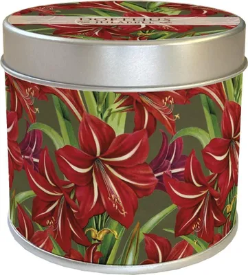Image de Bougie parfumée dans une boîte en métal Fleurs de Noël rouges Amaryllis