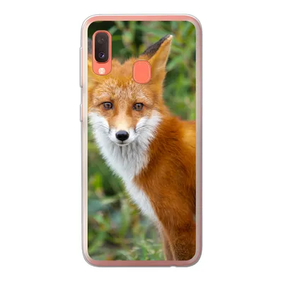 Produktbild von MuchoWow® Handyhülle Schutzhülle Hülle für Samsung Galaxy A20e Fuchs - Orange - Wald Silikon Softcase Handy Hülle - Abdeckung