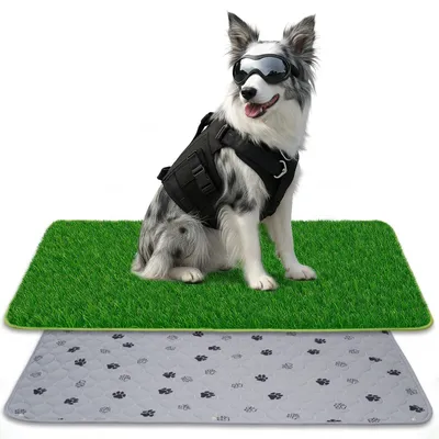Image de Toilettes pour chiens 2 en 1 avec gazon synthétique, pour une utilisation intérieure et extérieure