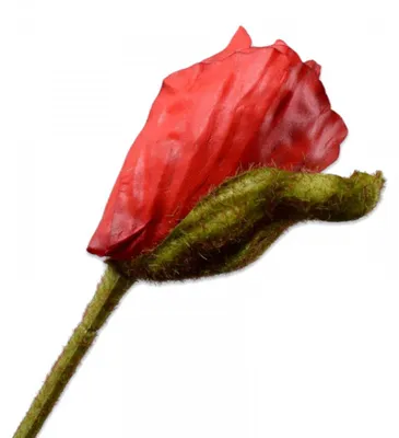 Produktbild von Silk-ka Seidenblume Mohn Knospe Rot (74cm)