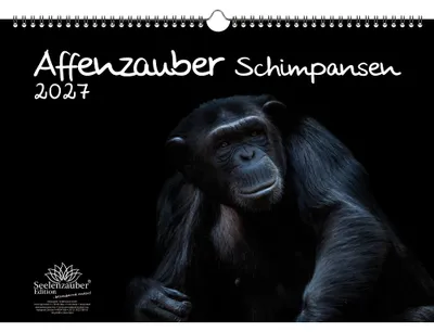 Produktbild von Schimpansenzauber DIN A3 Kalender für 2027 Affen - Seelenzauber