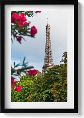 Produktbild von Eiffelturm in Blumen - Paris, Frankreich– Wandbild mit Rahmen – Gerahmtes Bild  – Wanddekoration – 40x60 cm –  Schwarz