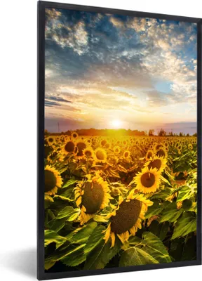 Produktbild von MuchoWow® Gerahmtes Poster Blumen - Sonnenblume - Himmel 60x90 cm - Poster mit Schwarzem Bilderrahmen Wandposter Rahmen Foto Bilder - Kunst