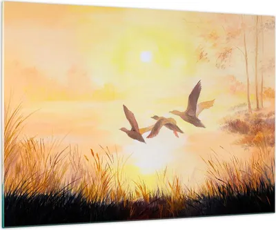 Produktbild von Bilder auf glas - Vogel Natur Wasser - 100x70cm - Glasbilder - Wandbilder - Kunstdruck - zum Aufhängen bereit - Wanddekoration aus Glas - Glas Bilder - Wandbild auf Glas - Einteilig - GAA100x70-3686