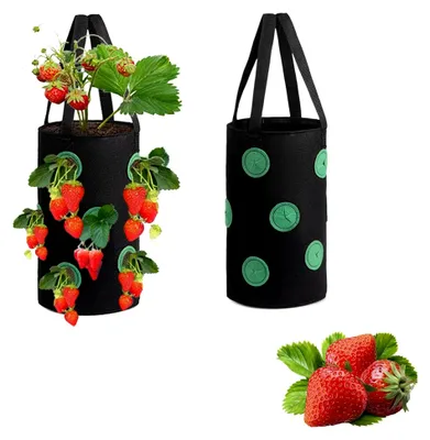 Produktbild von 2 Stück Pflanzsäcke aus Vliesstoff für Erdbeeren, Kräuter, Gemüse und Blumen