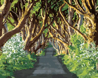 Produktbild von Zuty - Malen nach Zahlen - VON BÄUMEN UMGEBENER WEG (TED DAVIS), 40x50 cm, mit Keilrahmen (bereits gespannt)