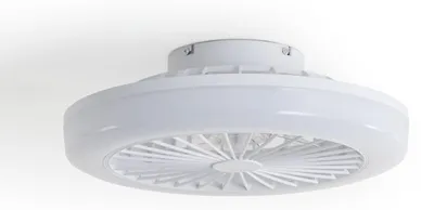 Produktbild von Deckenventilator mit Licht Lautlos DC Angin Transparent Fernbedienung Klein (bis 10 m²) Weiß ø45 cm
