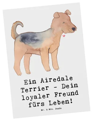 Produktbild von Mr. & Mrs. Panda Ansichtskarte Airedale Terrier - Weiß - Geschenk, Postkarte, intelligenter Hund, Wachhund, Postkarten, Fotokarte, Hunderasse, loyaler Freund, bildkarte