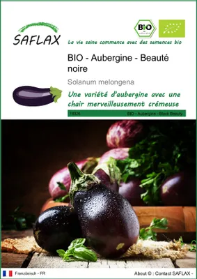 Image de SAFLAX  -- Aubergine - Beauté noire - 25 graines - Solanum