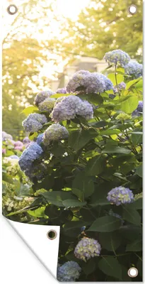 Produktbild von MuchoWow® 80x160 cm Outdoor-Poster Gartendeko Sichtschutz Garten Poster für den Garten  Gelbe Hortensien im Garten