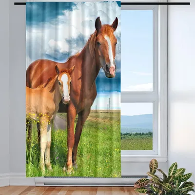 Gardine 1 Stück 2 Pferde 135x225cm W/H