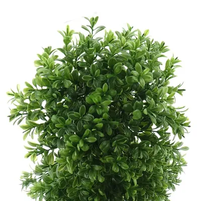 Produktbild von DPI Buchsbaumkranz Grün Ø 18 cm - Kunstpflanzen