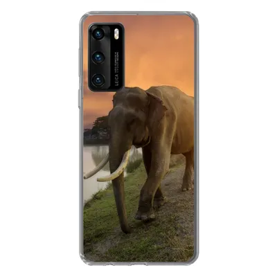 Produktbild von MuchoWow® Handyhülle Schutzhülle Hülle für Huawei P40 Elefant - Wasser - Tiere - Sonnenuntergang - Natur Silikon Softcase Handy Hülle - Handytasche