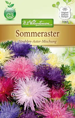 Artikelbild 1 von 'Sommeraster Strahlen - Aster' aus der Kategorie Asternsamen