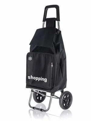 Obrázek produktu pro Taška nákupní na kolečkách 91 x 35,5 x 38 cm, TERMO shopping