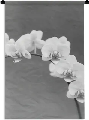 Produktbild von MuchoWow® Wandteppich Wandbehang Orchidee - Blumen - Pflanze - Weiß - Lila 60x90 cm Tapisserie Dekoration Wandtuch - Foto-Teppich - Abwaschbar