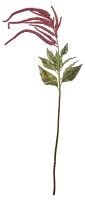 Produktbild von BUTLERS Kunstblume FLORISTA Millet/Hirse