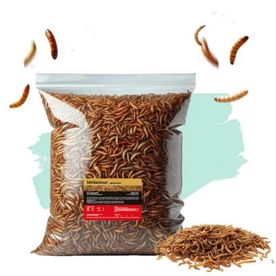 Produktbild von 5 kg Mehlwürmer getrocknet | Futter für Koi, Vögel, Igel, Hühner, Hamster etc. | proteinreich und lecker