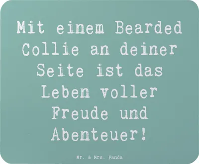 Produktbild von Mr. & Mrs. Panda Mouse Pad Spruch Bearded Collie Freund - Meeresbrise - Geschenk, Lebensfreude, computer mousepad, Hunderasse, Pflege, laptop, Intelligenz, Hunderassen
