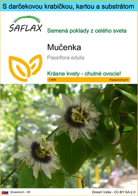 Obrázok produktu pre SAFLAX Darčeková sada - mučenka - Passiflora edulis - 40 Semená - S darčekovou krabičkou, prepravným štítkom, darčekovou kartou a pestovateľským médiom