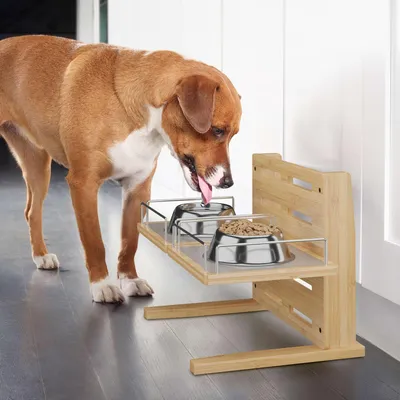 Image de Station d'alimentation réglable en hauteur pour chiens