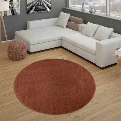 Produktbild von Teppich Wohnzimmer Kurzflor Schlafzimmer Modernes Einfarbiges Muster Braun Rot Grösse 120 cm Rund