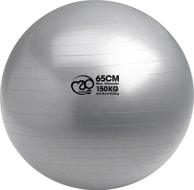 Image de Fitness-Mad Swiss Ball Anti-Burst 150kg grau 65cm Fitness Yoga Pilates