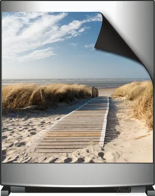 Produktbild von Wallario Magnet für Kühlschrank / Geschirrspüler, magnetisch haftende Folie - 60 x 60 cm, Motiv: Auf dem Holzweg zum Strand