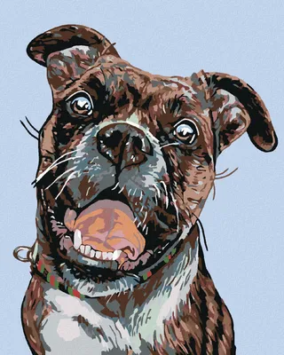 Produktbild von Zuty - Malen nach Zahlen - ALTER BEIßHUND, 40x50 cm, ohne Keilrahmen