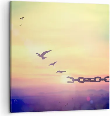Produktbild von Bild auf Leinwand - Leinwandbild - Vogel Natur Wiese - 50x50cm - Wand Bild - Wanddeko - Wandbilder - Leinwanddruck - Bilder - Kunstdruck - Wanddekoration - Leinwand bilder - Wandkunst - AC50x50-3917