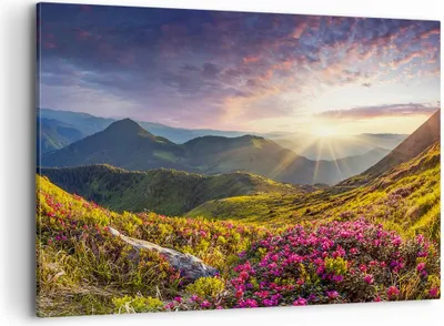 Produktbild von Bild auf Leinwand - Leinwandbild - Gebirge Wiese Landschaft Wald - 120x80cm - Wand Bild - Wanddeko - Leinwanddruck - Bilder - Kunstdruck - Wanddekoration - Leinwand bilder - Wandkunst - AA120x80-3152