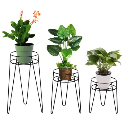Three potted plants on black metal plant stands against a white background.