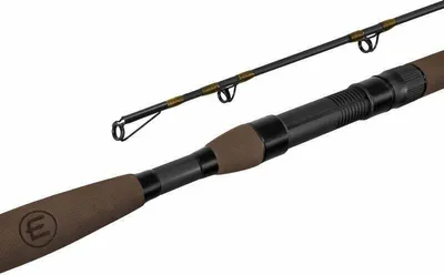 Obrázek produktu pro Delphin SymbolCAT Bronze Prut 3,1 m 500 g 2 díly