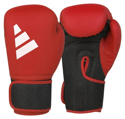 Image de Gants de boxe Adidas Hybrid 25