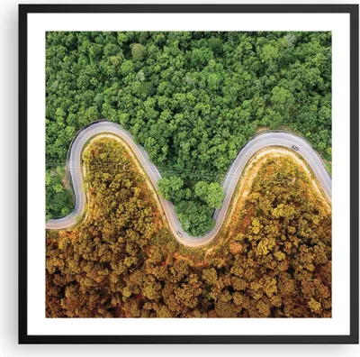 Produktbild von Gerahmtes Poster - Schwarzer Rahmen - Luftaufnahmen Weg Wald - 60x60 cm - Wand Bild - Wanddeko - Wandbilder - Kunstposter - Wandposter - Bilderrahmen - Bilder - Kunstdruck - P2BAC60x60-4659
