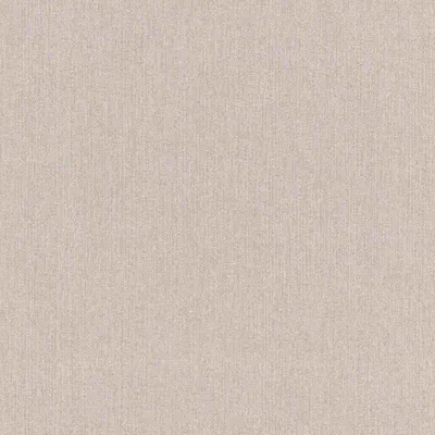 Produktbild von Vliestapete 545425 Tapete Uni Einfarbig 53 x 1005 cm Rasch Selection Grau