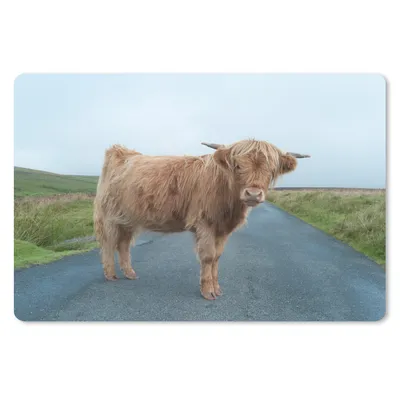 Produktbild von MuchoWow® Mauspad Mousepad Scottish Highlander - Straße - Gras 27x18 cm - Mousepads - Maus Mat - Pad - Mausunterlage - Büroartikel - Desk Matten
